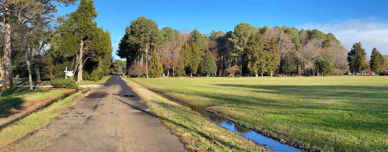 A country lane beside a wide lawn and tall pines near the Chesapeake Bay in Neavitt, Maryland.