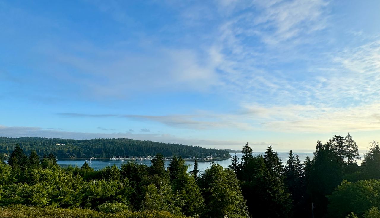 Evergreen forest overlooking a quiet harbor and marina under a morning sky in Washington State.